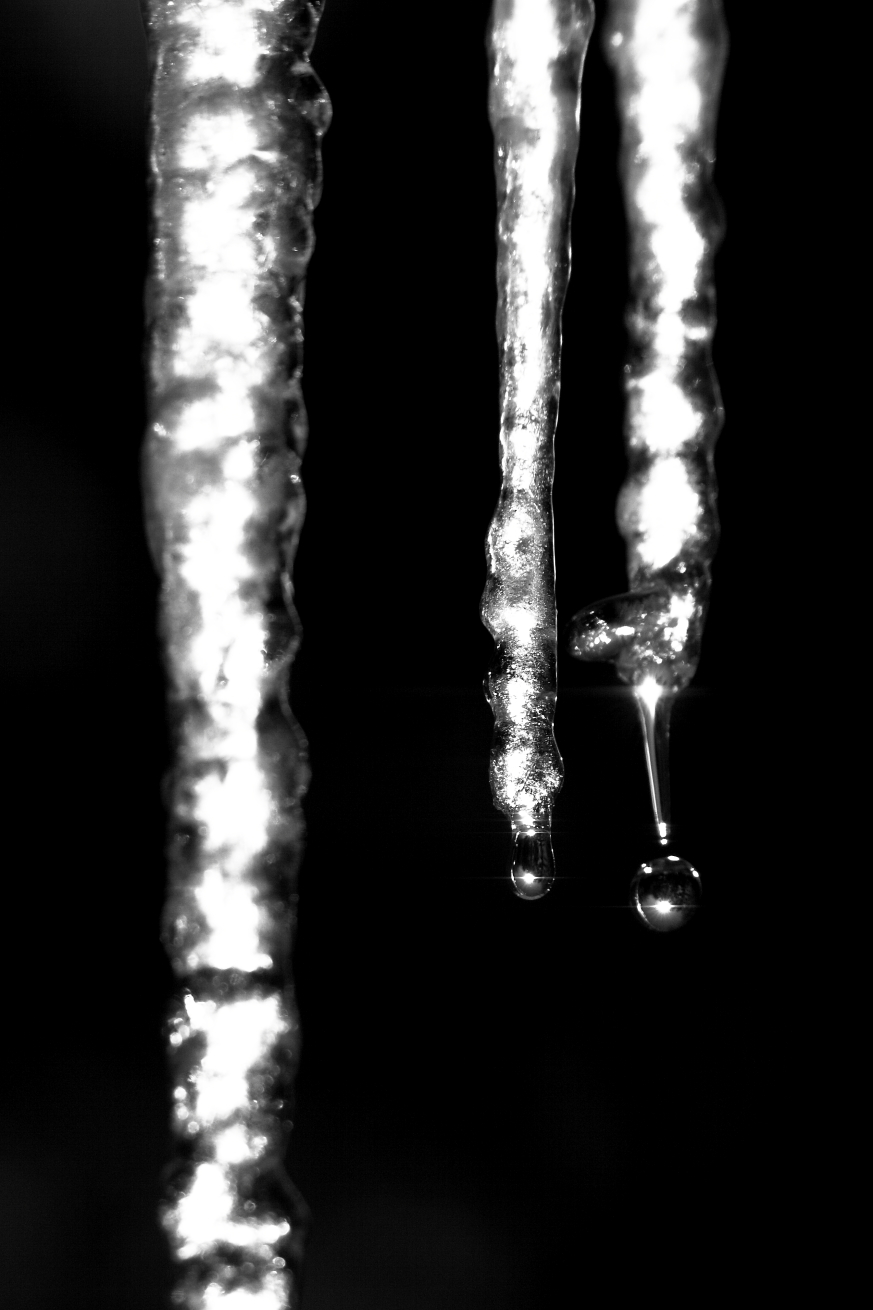 2015 01 29 HTP 000021785ebw